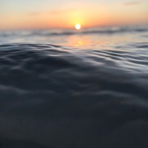 Meet your Posher, Cheyenne